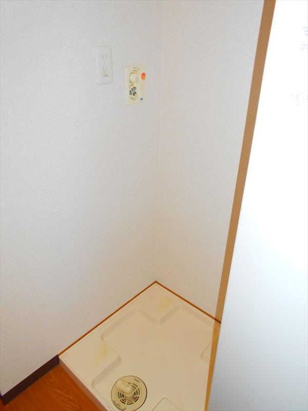 フェスシントミ その他2