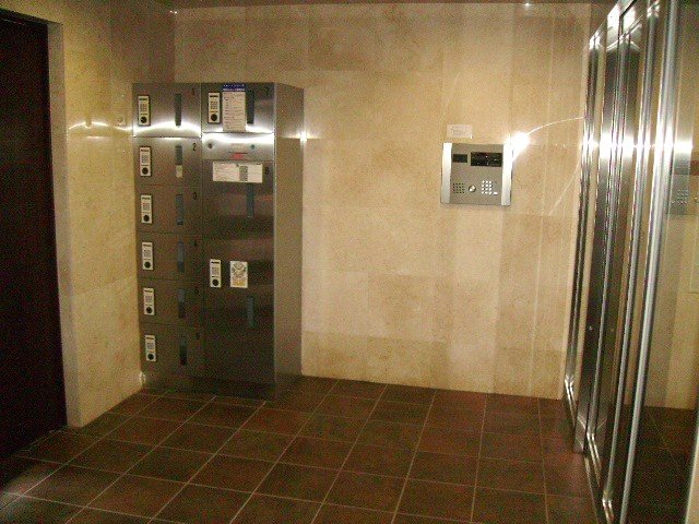 フェスシントミ その他3