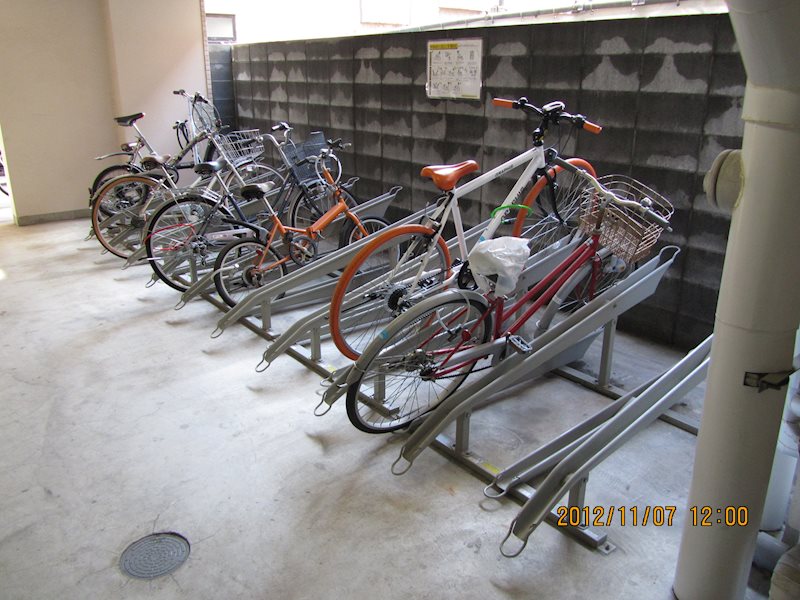 フェスシントミ その他4