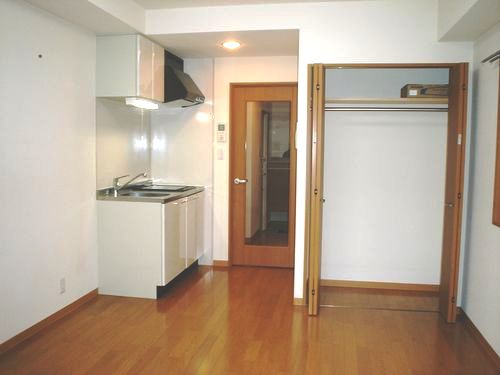 フェスシントミ その他1