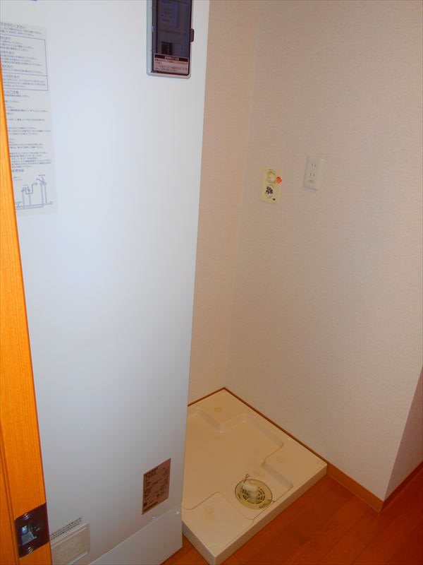 フェスシントミ その他2