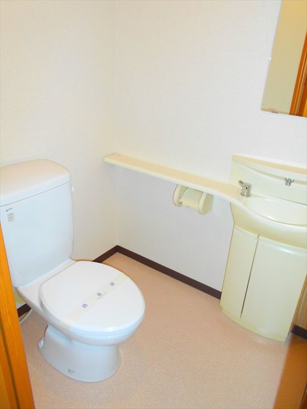 フェスシントミ その他3