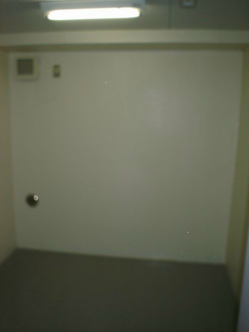 フェスシントミ その他外観4