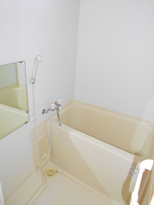 フェスシントミ 風呂画像