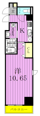 205号室 間取り