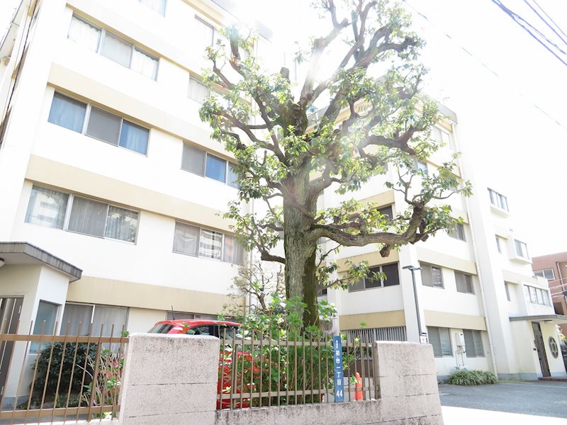 初台マンション 505号室 外観