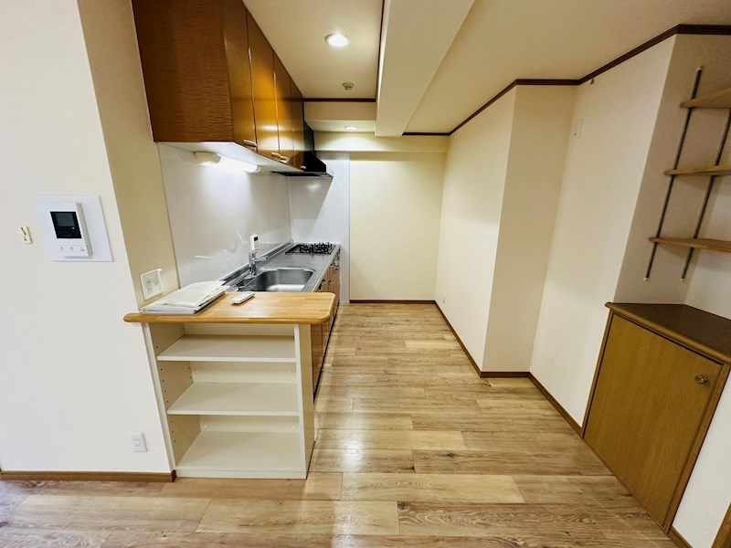 セントレジス・グラン その他30