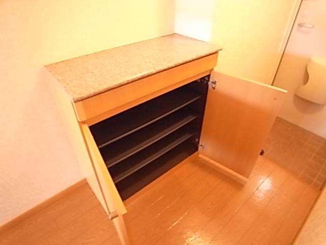 サニーヒルズⅣ 玄関