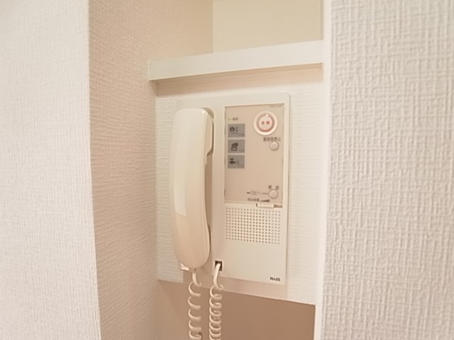 パインエクセレント その他4