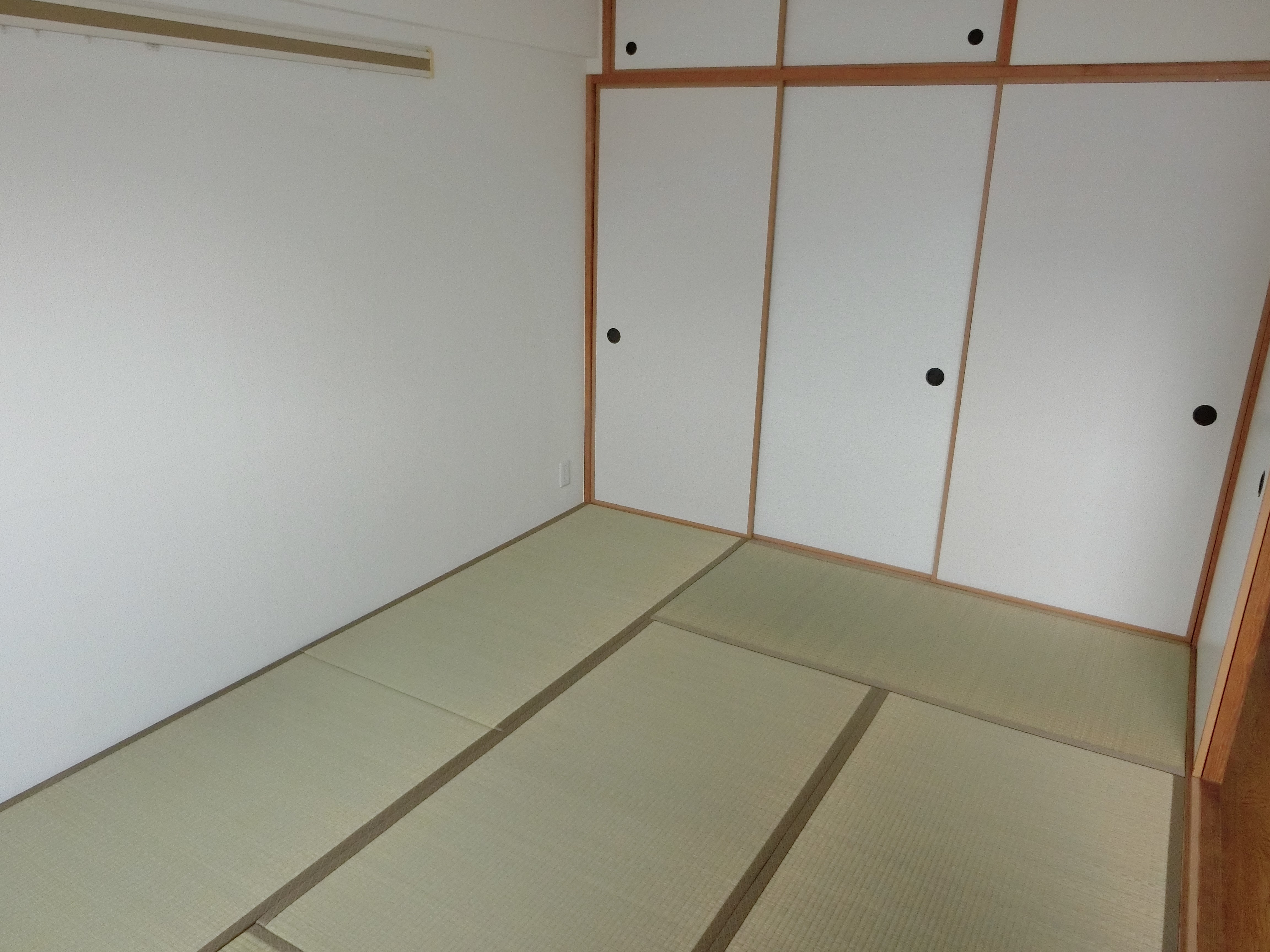 エクセル清涼 その他6