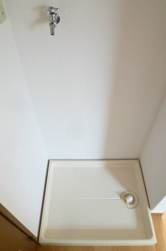 ルネサンスハート その他4