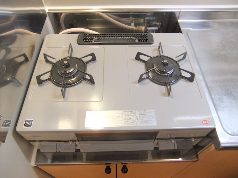 ルネサンスハート その他5