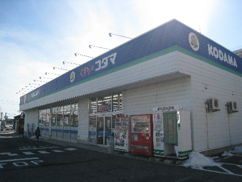 BUENA関屋大川前 ドラッグストア