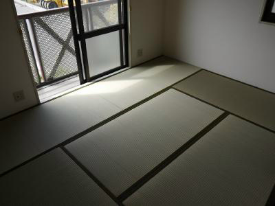サンメゾンくすの木C棟 その他部屋・スペース