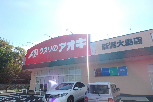 楠風イルミナ ドラッグストア