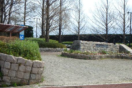楠風イルミナ 公園