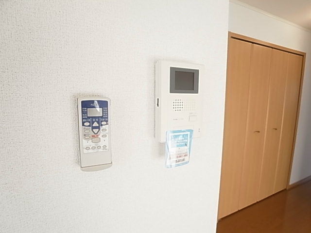 SPES　PIRUMⅠ（スペースピルム） その他4
