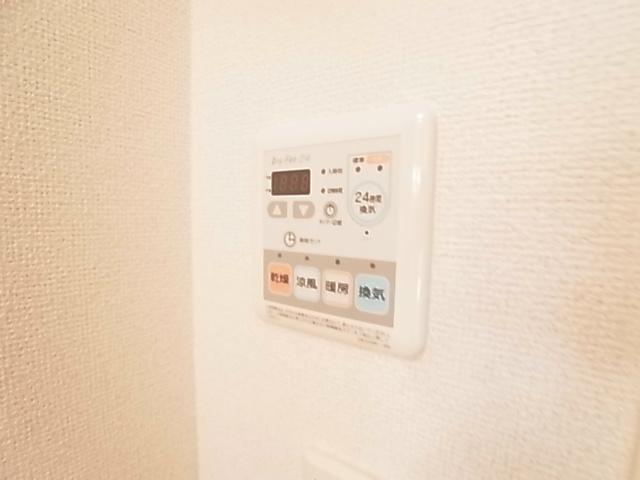 SPES　PIRUMⅠ（スペースピルム） その他11