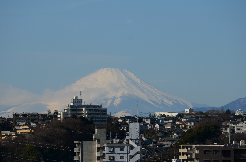 ＪＰ&amp;rsquo;ｓＹＯＫＯＨＡＭＡ その他1
