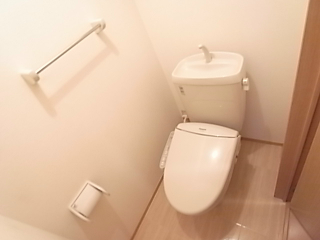 ウェルス その他1