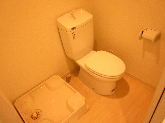 フォセット その他3