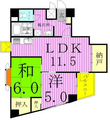 ビラ松濤 401号室 間取り