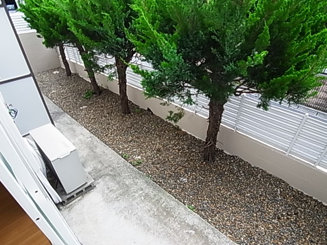 ＦＯＲＥＳＴ　ＭＡＴＳＵＤＯ その他4