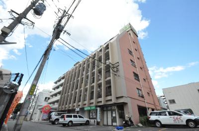 山内グリーンパレス 501号室 外観