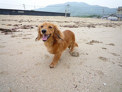 藤本ビル№25 その他8