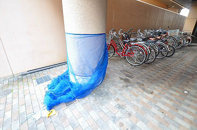 ジュネス壱番館  その他19