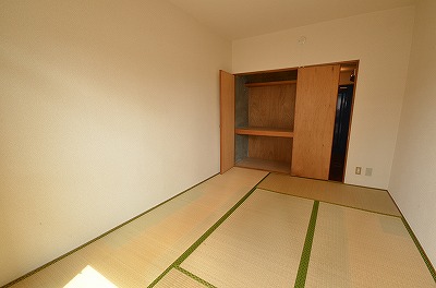 シャトレ黄金 その他11