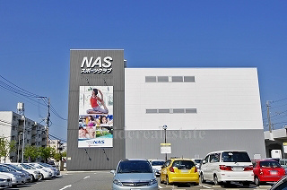 スポーツクラブNAS(徒歩3分) カーサ・デフェ その他14