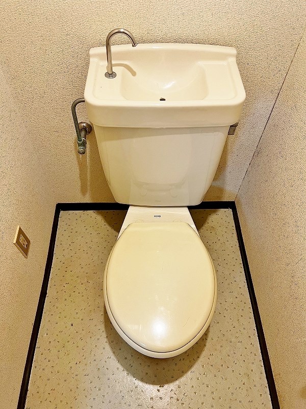 井堀C.V. その他11