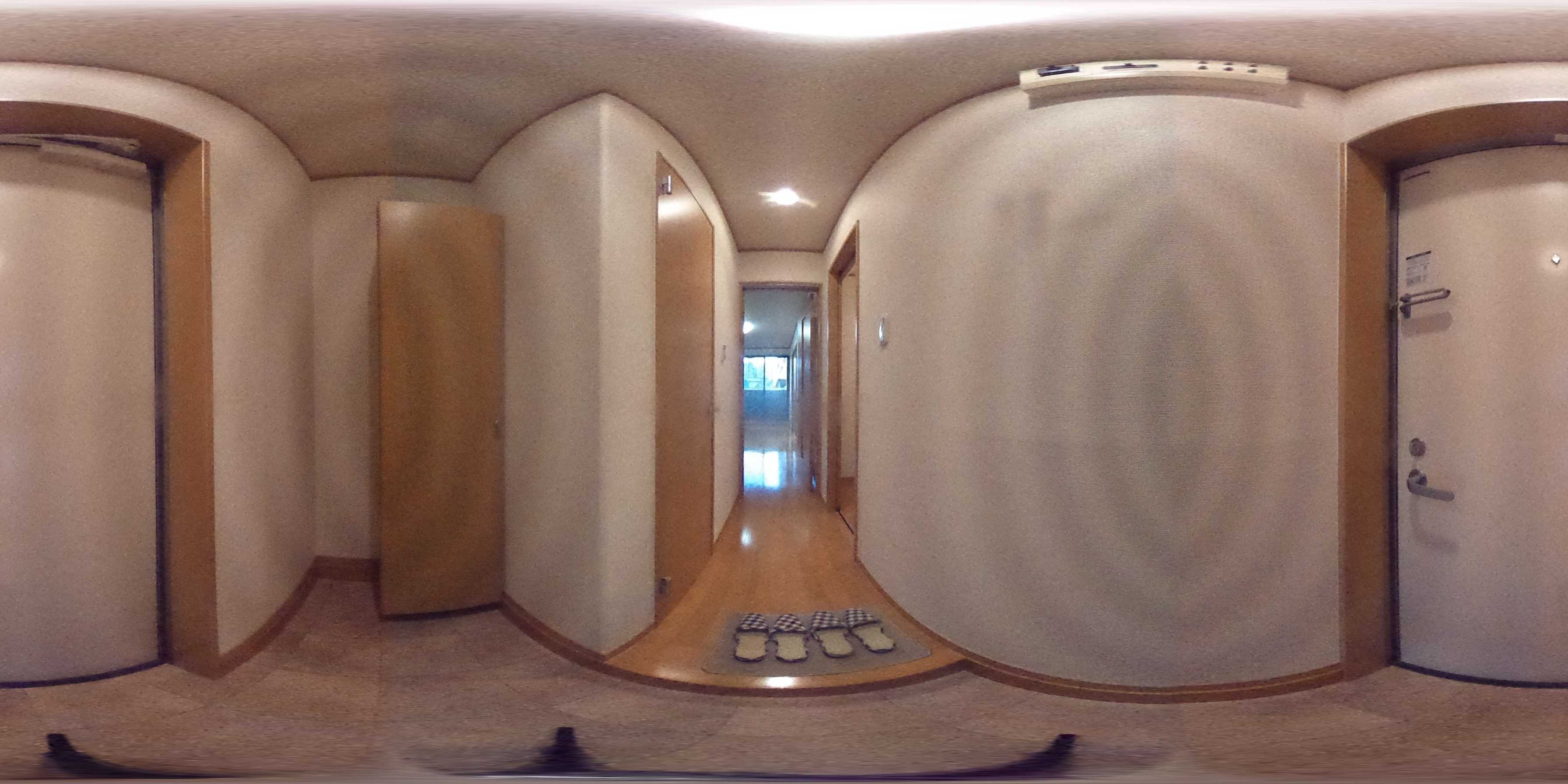 BUENA川岸町 玄関