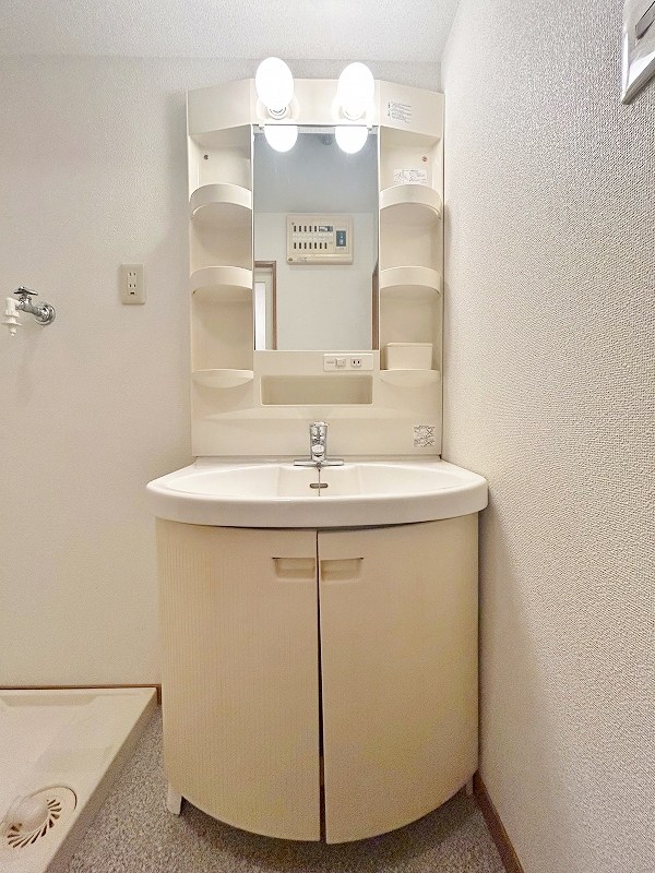 アルゴヴィラージュ高峰 その他1