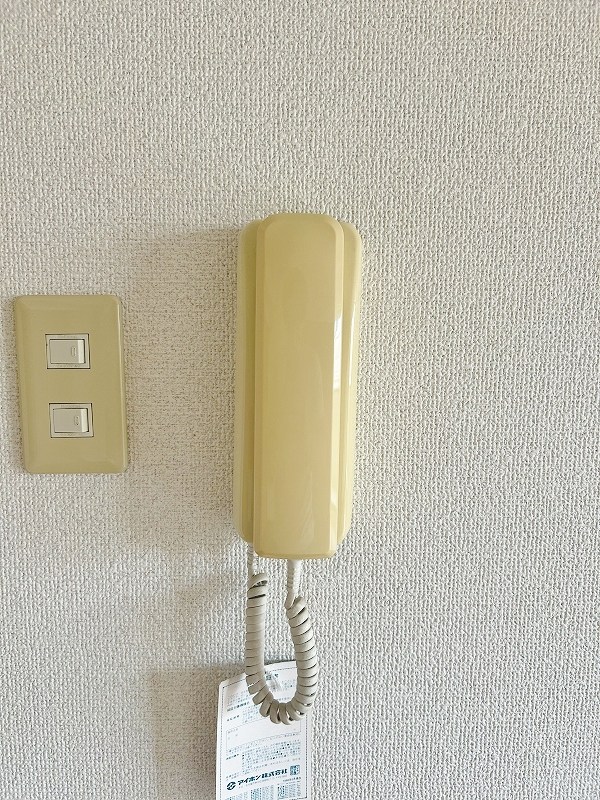 アルゴヴィラージュ高峰 その他3