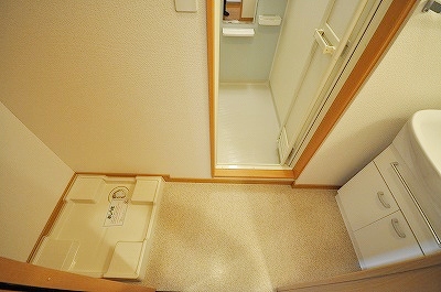 エヴァーグリーンＮ その他1