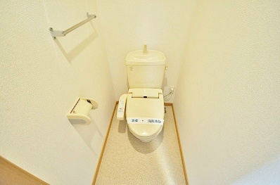 エヴァーグリーンＮ その他2