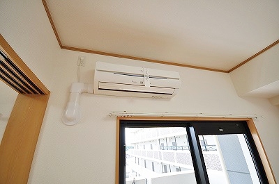 エヴァーグリーンＮ その他4