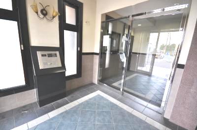 エヴァーグリーンＮ その他6