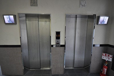 エヴァーグリーンＮ その他7