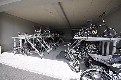 エヴァーグリーンＮ その他8