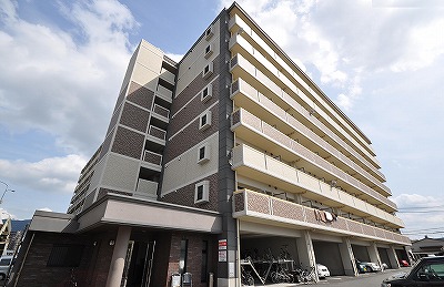 エヴァーグリーンＮ その他10