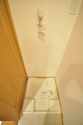 エヴァーグリーンＮ その他12