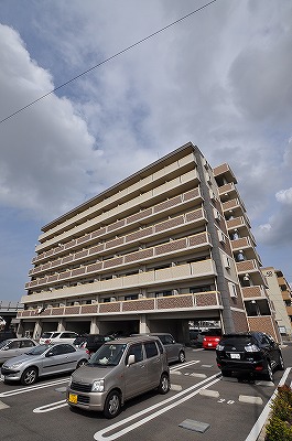 エヴァーグリーンＮ その他14