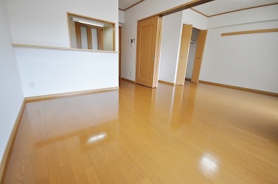 エヴァーグリーンＮ その他16