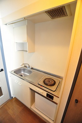 ダイナコート小倉城野（分譲賃貸） キッチン