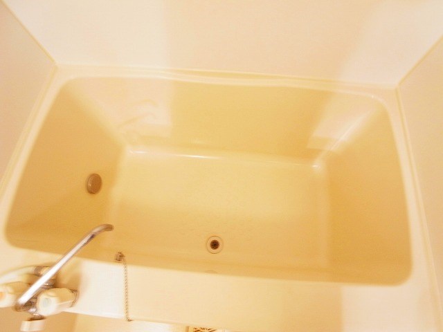 ウィット その他12