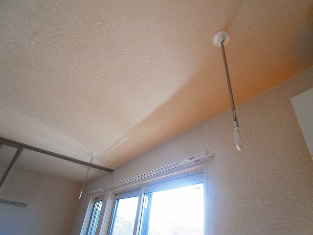 ウィット その他19