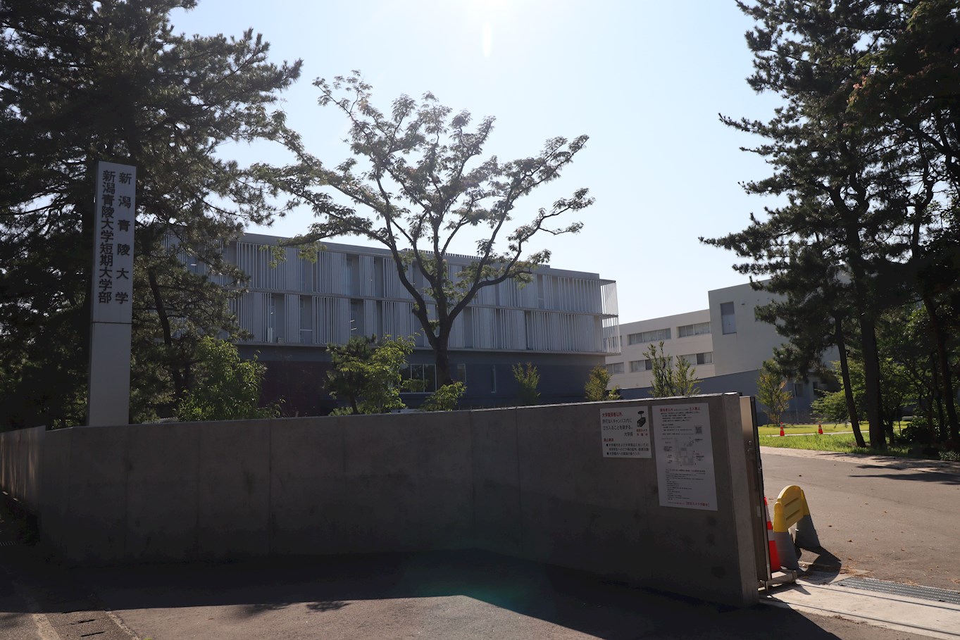 ヴィアーレ学校町 大学・短大